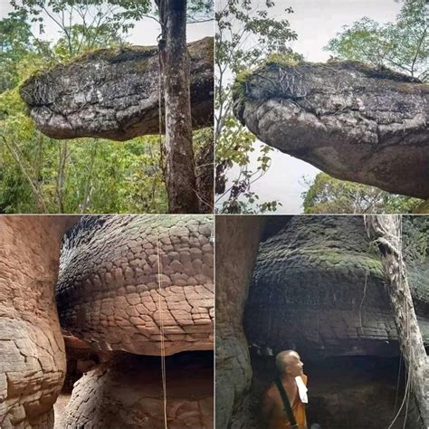 naka cave thailand snake|THE NAKA CAVE – ROCK FORMATION OF A。